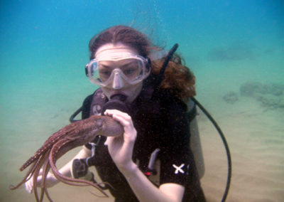 Octopus Friend | Scuba Diving Maui