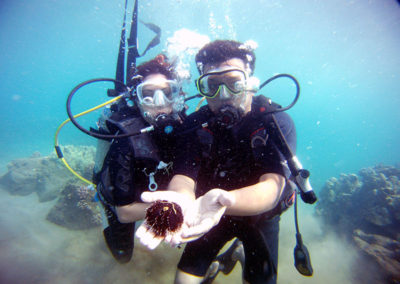 Couple Diving | Maui Scuba Diving
