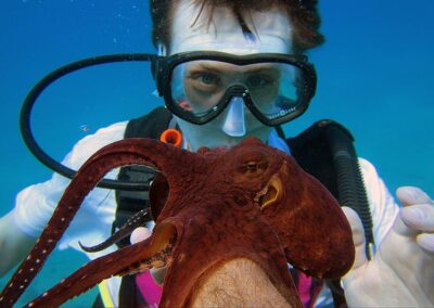 Friendly Octopus | Maui Scuba Diving