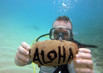 Aloha from Island Scuba!