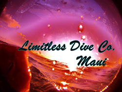 Limitless Dive Co. Maui